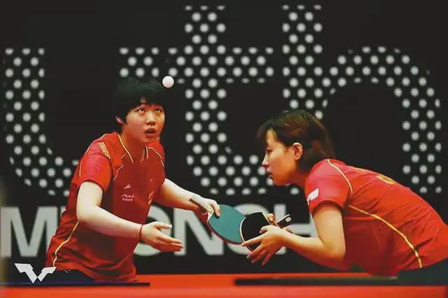 教练组和高 教练组和高